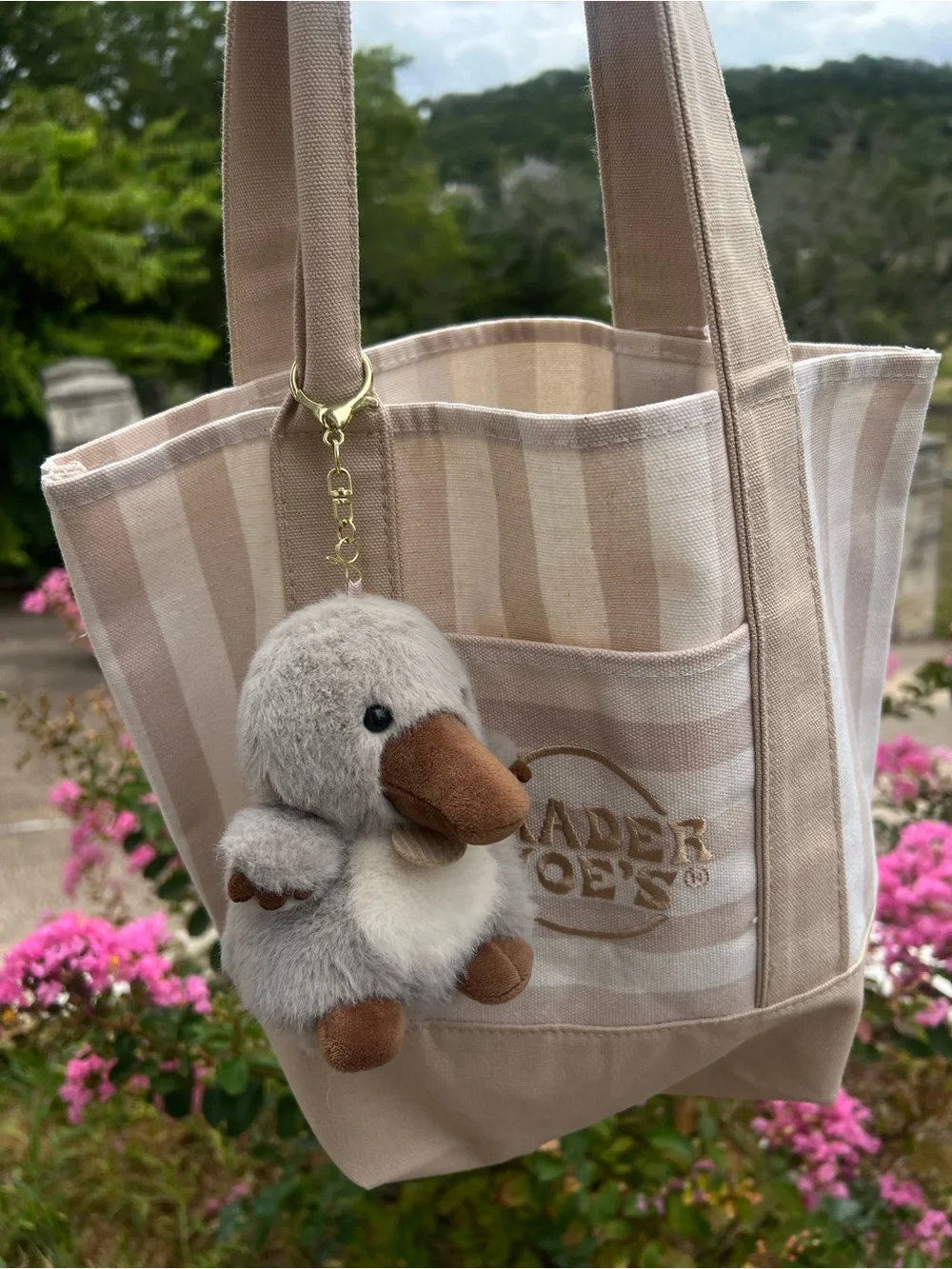 Trader Joe’s Canvas Stripe Tote Bag in Beige & White